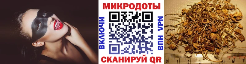 Псилоцибиновые грибы мухоморы Соль-Илецк