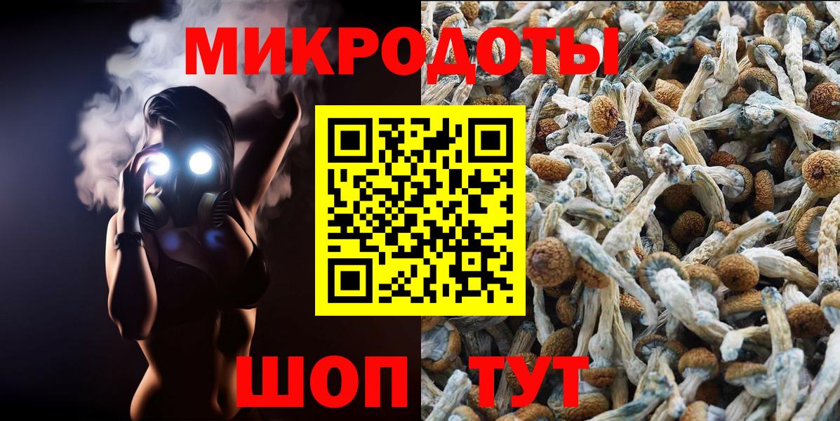 Псилоцибиновые грибы мицелий Соль-Илецк