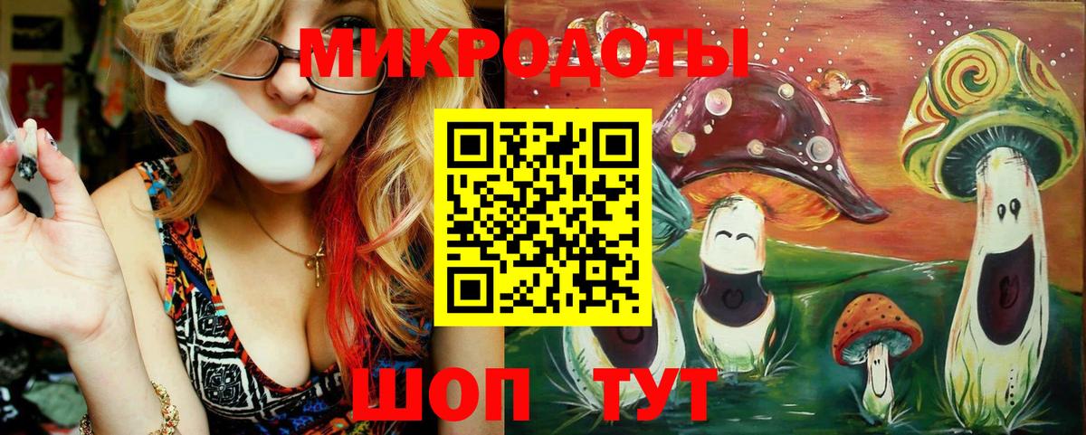Псилоцибиновые грибы ЛСД  закладка  Соль-Илецк  Вход с VPN 
