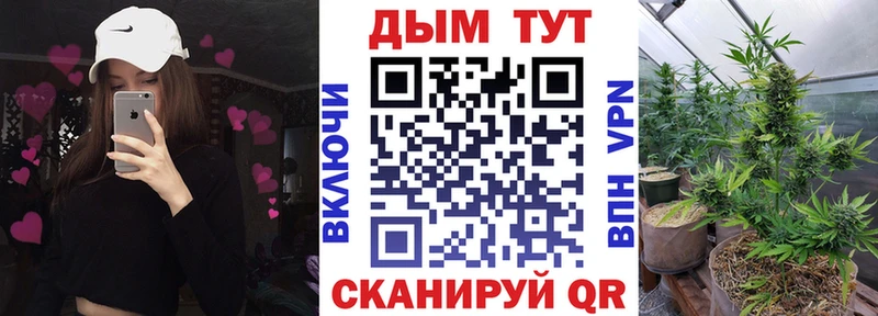 Марихуана сатива Соль-Илецк